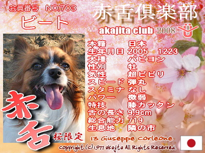 703-beat-2008saku¶