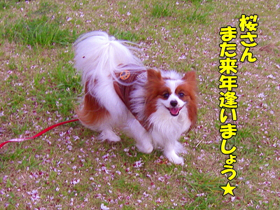 �����롦������