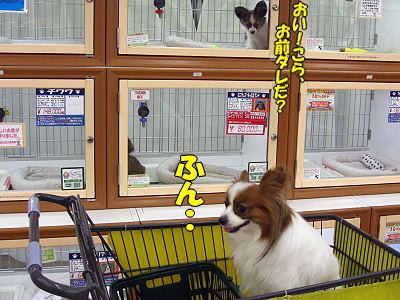 �쿨¨ȯ��������