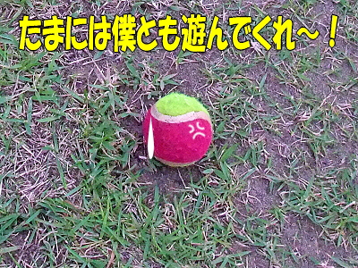 ¥Ü¡¼¥ë¤Îµ¤»ý¤Á§