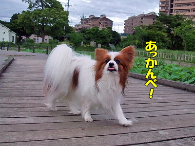 µ¤Ê¬²°¡¦¡¦¡¦¡¦£