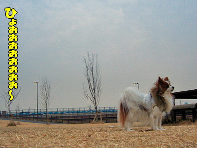 ���ߤλ���ƻ����������