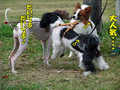 ²ÆµÙ¤ß´ë²è¤¥