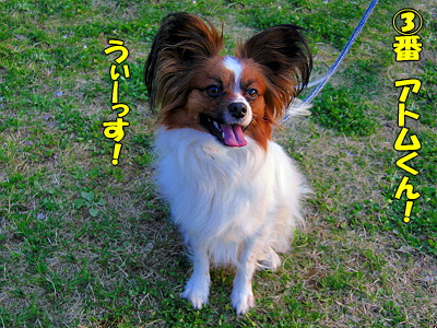 �����¿��������orz��