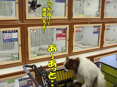 �쿨¨ȯ��������