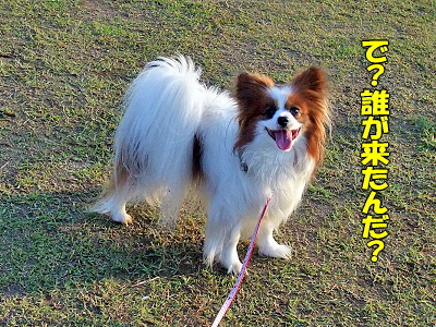 ¾®¤µ¤Ê¤ªµÒÍÍ¡