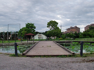 µ¤Ê¬²°¡¦¡¦¡¦¡¦¡
