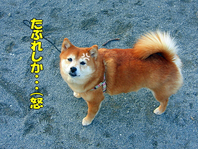 ¸¤¸ì¦