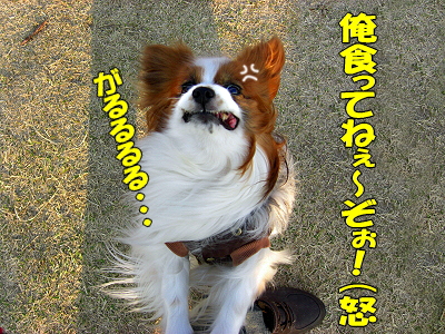 ¤À¤¤¤¸¤ç¤Ö¤«¡©¡©¥