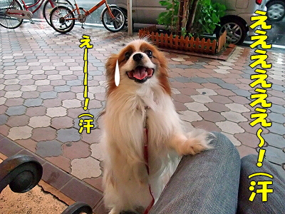 Present¯