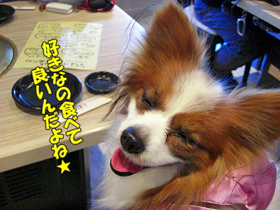¥×¥Á¥ª¥Õ²ñ©