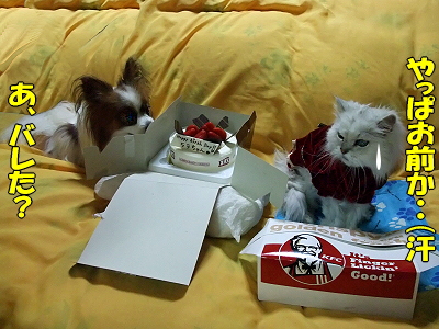 Happy Birthday HERMES��2008��