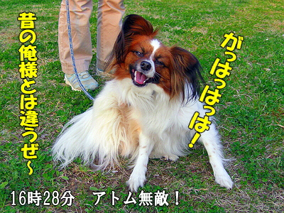 ¥¢¥È¥àºÇ¶¯¡©¨