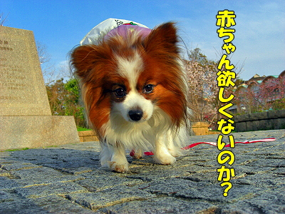 ¡ú¥µ¥¶¥Ó¡¼¤´²ûÇ¥¡ú¨