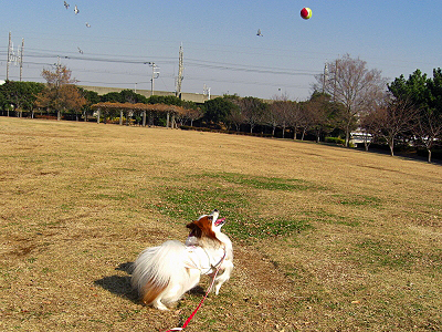 ǯ±Û¤·¡¦¡¦¤«¡Ê´À©