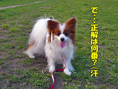 �����¿��������orz��