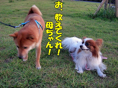 ���ĤΥ��饹�Ȥϡ���