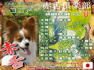 550-cocoa-2008may