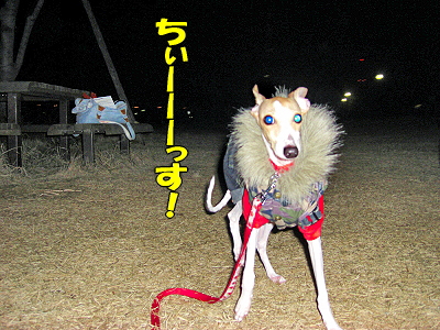 Åß»ê¤Î˺ǯ²ñª