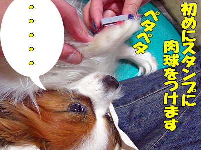 ¥¹¥¿¥ó¥×ºî¤ê¥
