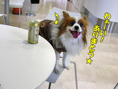 ¥»¥«¥ó¥É¥ª¥Ô¥Ë¥ª¥ó¬