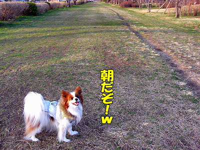 »à¤ó¤Ç¤¿¤Þ¤ë¤«¡ú¡