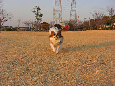 �˼���񤭹��ߤ˹Ԥ�����(���ϡ�)�ɭ�