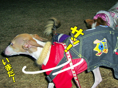 Åß»ê¤Î˺ǯ²ñ¬