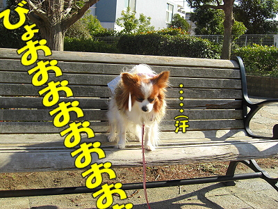 ¤Þ¤À¤Þ¤À¶¯É÷¡£¡£orz¬