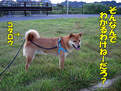 ���ĤΥ��饹�Ȥϡ���