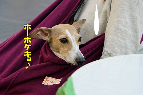 ��ĥ�졢�Фբ��ʸ��ӡ˭�