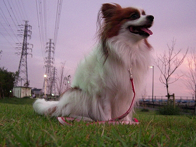 ̼¤ÎÁ°¤Ç¤â¡¦¡¦¢