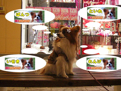 ·ëº§Á°Ì롪£