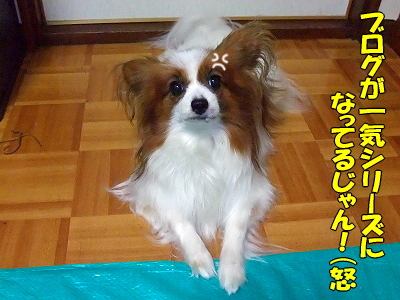 �쵤������