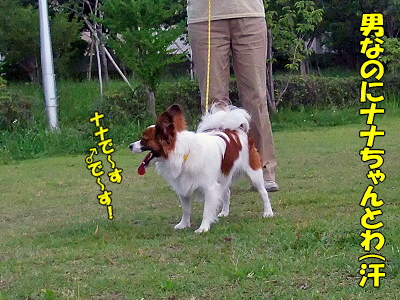 ½ë¤µ¤Ç¥Ü¥±¥Ü¥±¡¦¡¦¡¦¡¦®