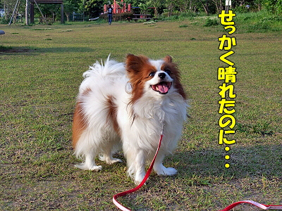 À²¤ì¤¿¤±¤É¡£¡£orz¡