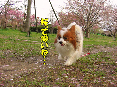 �����롦������