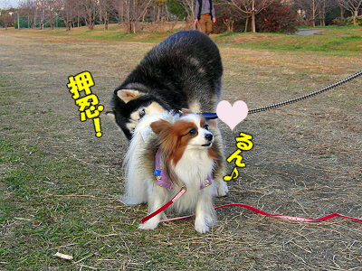 ¥¤¥ó¥Ç¥£¥¢¥ó¤òõ¤·¤Æ¡¦¡¦¡¦¡¦©