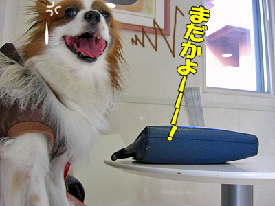 ¥»¥«¥ó¥É¥ª¥Ô¥Ë¥ª¥ó©