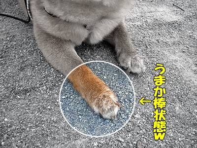Áð¤ÎÃæ¤òÊ⤯¤È¡¦¡¦¡¦¯