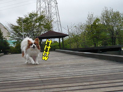 ¤¯¤Ä¤í¤²¤ë¾ì½ê¡¦¡¦¡¦¢