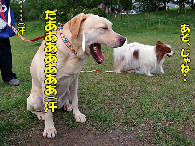 ½ë¤µ¤Ç¥Ü¥±¥Ü¥±¡¦¡¦¡¦¡¦¨