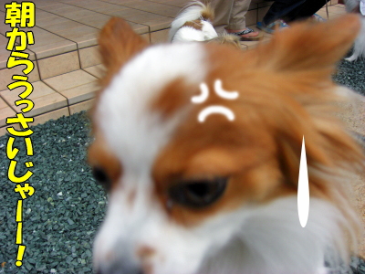 ÀŲ¬¤Ø¡¦¡¦¡¦©