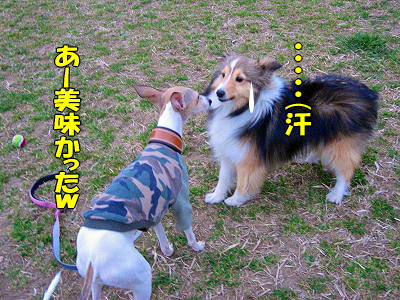 郎°ìÈÖ¡¦¡¦¡¦¡¦