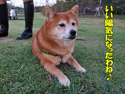 ��������