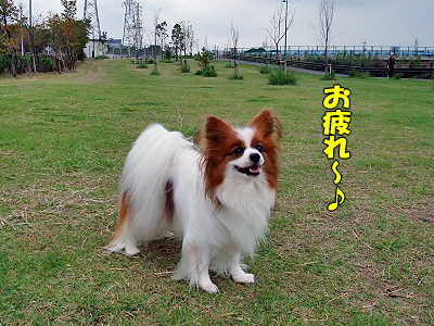 �ۤ�ޤ˰��������