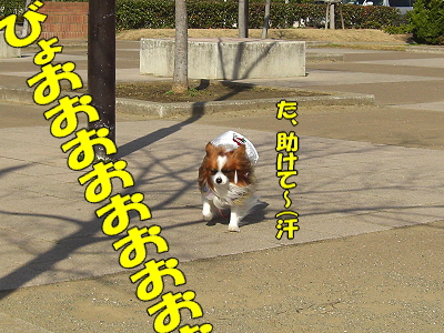 ¤Þ¤À¤Þ¤À¶¯É÷¡£¡£orz