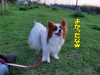 �쵤������
