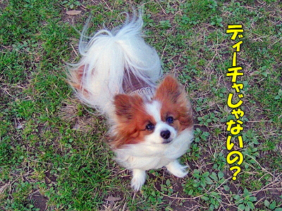 ºùºé¤¯¡¦¡¦¡¦¡¦¨