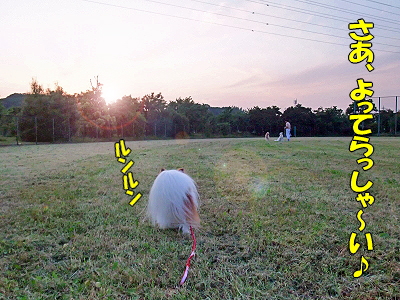 ¤ä¤Ã¤Æ¤¤Þ¤·¤¿¡ú¦